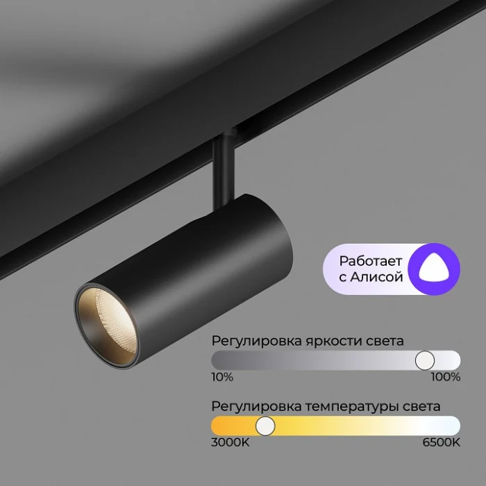 Трековый светильник Hesby Lighting ElDeko HSBL_0238