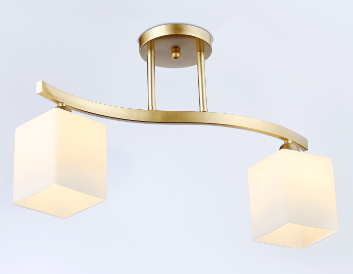 Потолочный светильник Ambrella light TR303119