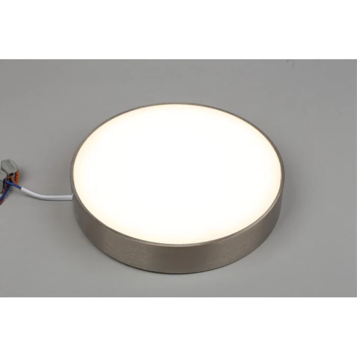 Светильник настенно-потолочный Aployt Evon APL.0114.19.24