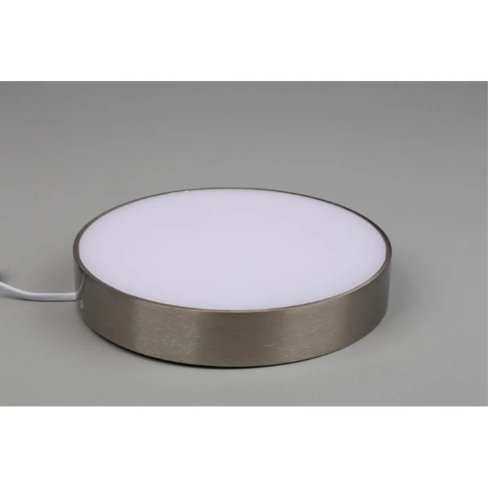 Светильник настенно-потолочный Aployt Evon APL.0114.19.24