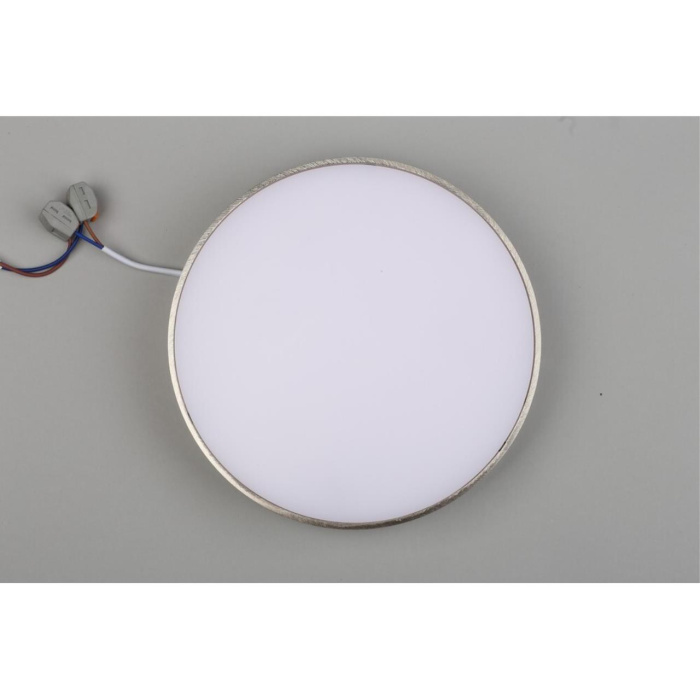 Светильник настенно-потолочный Aployt Evon APL.0114.19.24