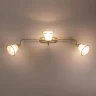 Спот поворотный Citilux Прованс CL511534
