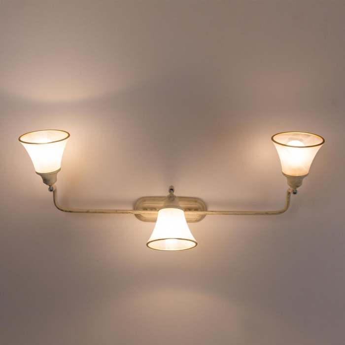 Спот поворотный Citilux Прованс CL511534