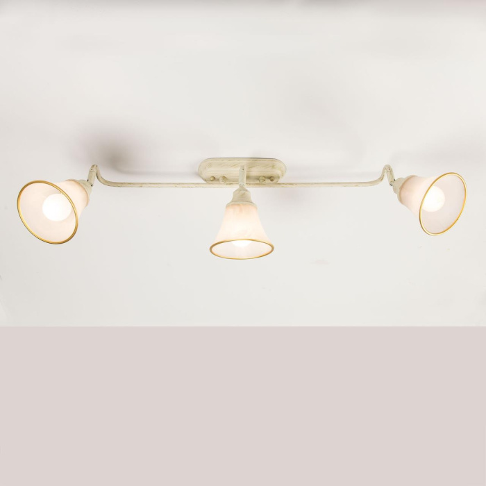 Спот поворотный Citilux Прованс CL511534