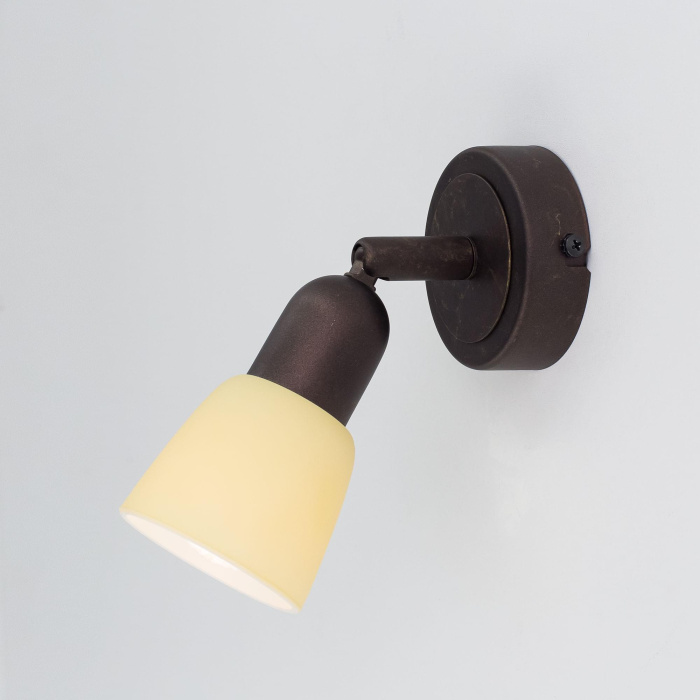 Спот поворотный Citilux Ронда CL506514