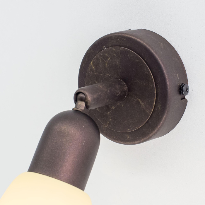 Спот поворотный Citilux Ронда CL506514