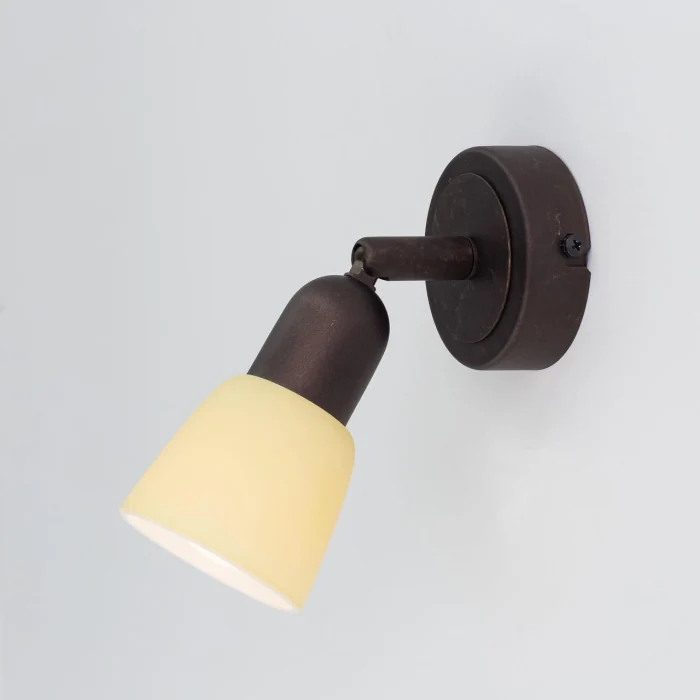 Спот поворотный Citilux Ронда CL506514