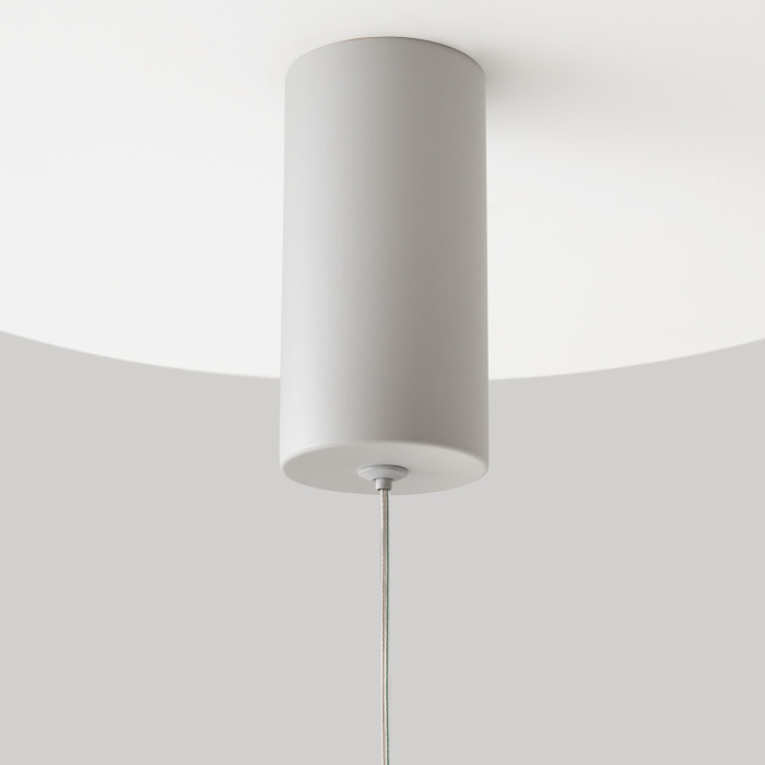Подвесной светильник Maytoni Pro shade MOD157PL-L6WK