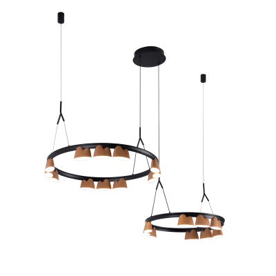 Подвесная люстра Favourite 4266-21P