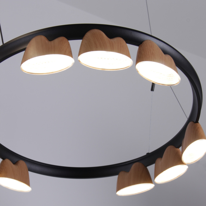 Подвесная люстра Favourite 4266-21P