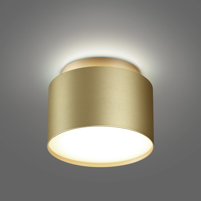 Накладной светильник Novotech Lirio 371039