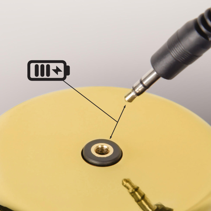 Настольная лампа LOFT IT Brothers 10233/D Gold