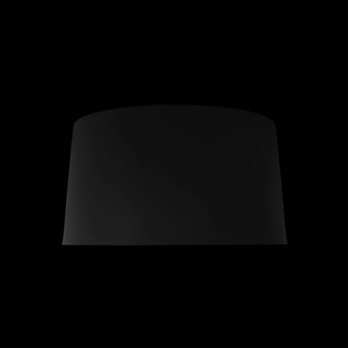 Потолочный светильник Loft it Duo 10360S Black