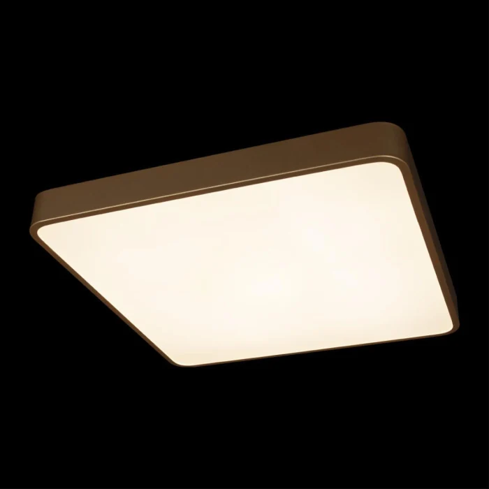 Потолочный светильник Loft it Flims 10228/D