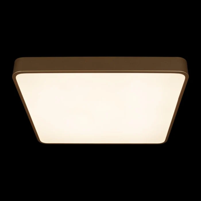 Потолочный светильник Loft it Flims 10228/D