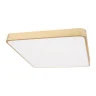 Потолочный светильник Loft it Flims 10228/D