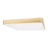 Потолочный светильник Loft it Flims 10228/D