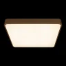 Потолочный светильник Loft it Flims 10228/D
