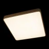 Потолочный светильник Loft it Flims 10228/D