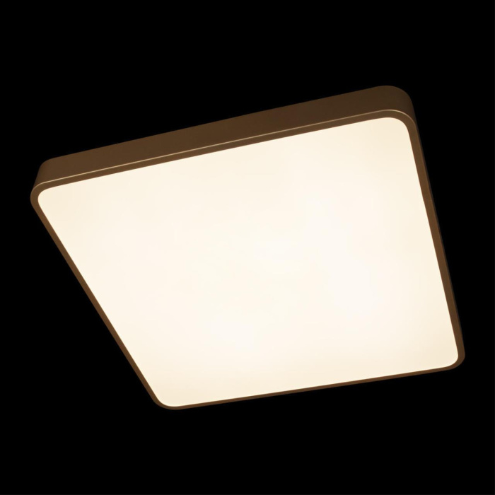 Потолочный светильник Loft it Flims 10228/D