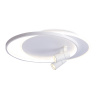 Настенно-потолочный светодиодный светильник с пультом Ambrella light FL51391