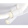 Настенно-потолочный светодиодный светильник с пультом Ambrella light FL51391