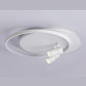 Настенно-потолочный светодиодный светильник с пультом Ambrella light FL51391
