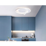 Настенно-потолочный светодиодный светильник с пультом Ambrella light FL51391