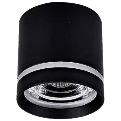 Светильник точечный накладной ALTAIR WERTMARK TECHNICAL WTA.O08.607.30.07