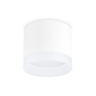 Накладной точечный светильник GX53 с акрилом Ambrella light TN5353