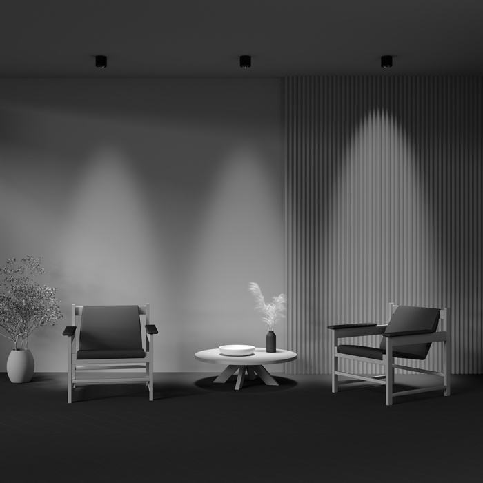 Потолочный светильник Maytoni Lens C217CL-15W4K-B