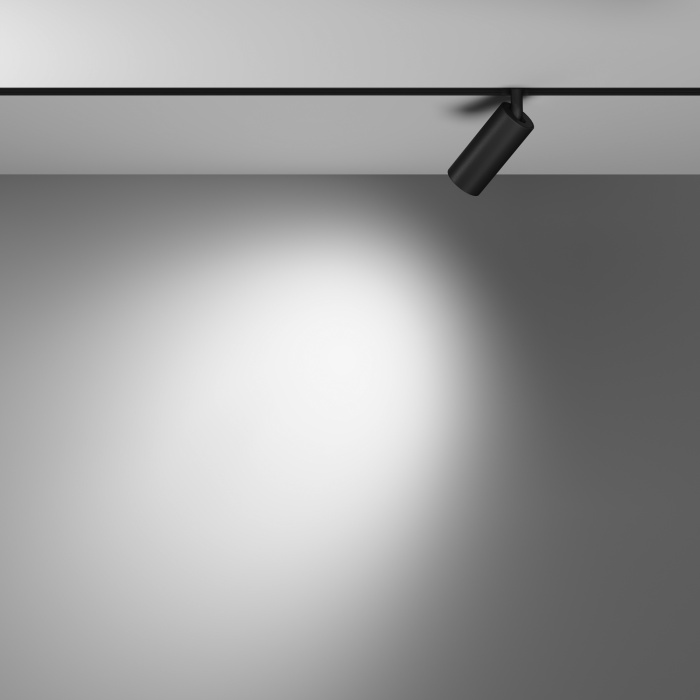 Трековый светильник Maytoni Focus LED TR032-2-5W4K-W-B