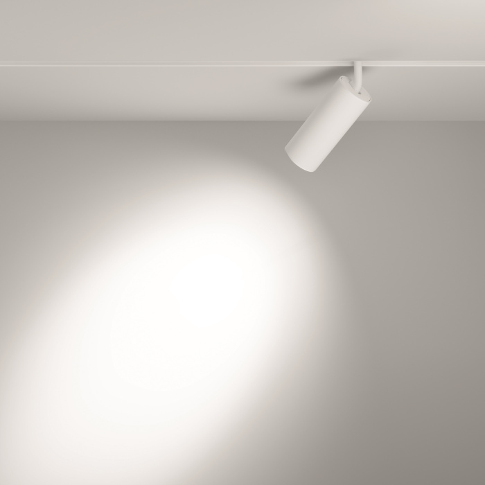 Трековый светильник Maytoni Focus LED TR032-4-20W3K-S-DS-W