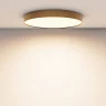 Потолочный светильник Maytoni Zon C032CL-90W3K-RD-MG