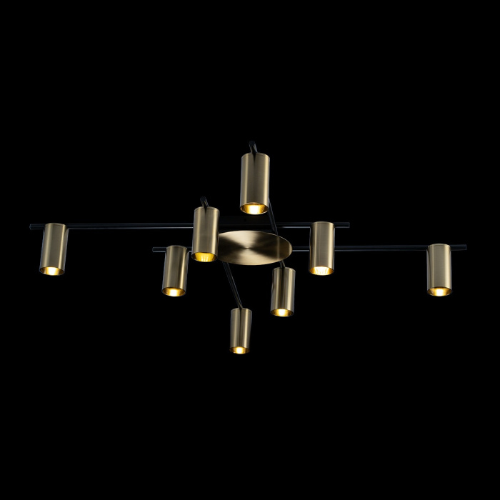 Светильник потолочный LOFTIT 8120C-8