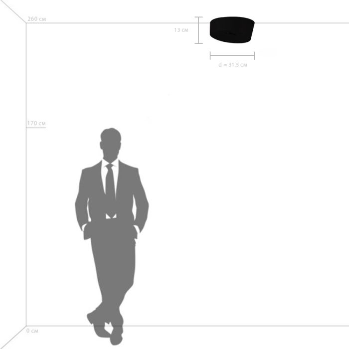 Потолочный светильник Celesta Lightstar 809356