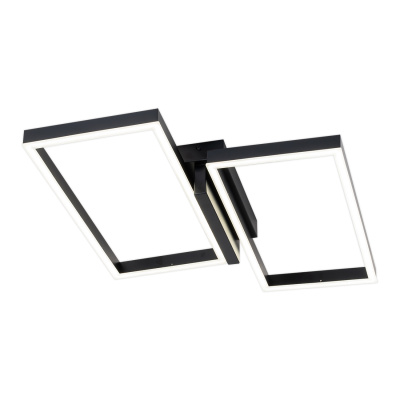 Потолочный светильник SCALES ESCADA 10209/2LED Black