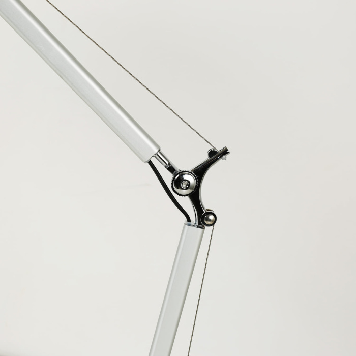 Настольная лампа Favourite Legend 1869-1T