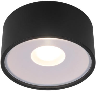 Уличный потолочный светильник Elektrostandard Light led 4690389180156