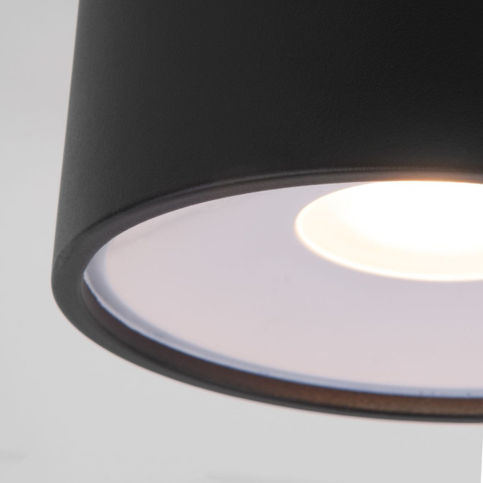 Уличный потолочный светильник Elektrostandard Light led 4690389180156