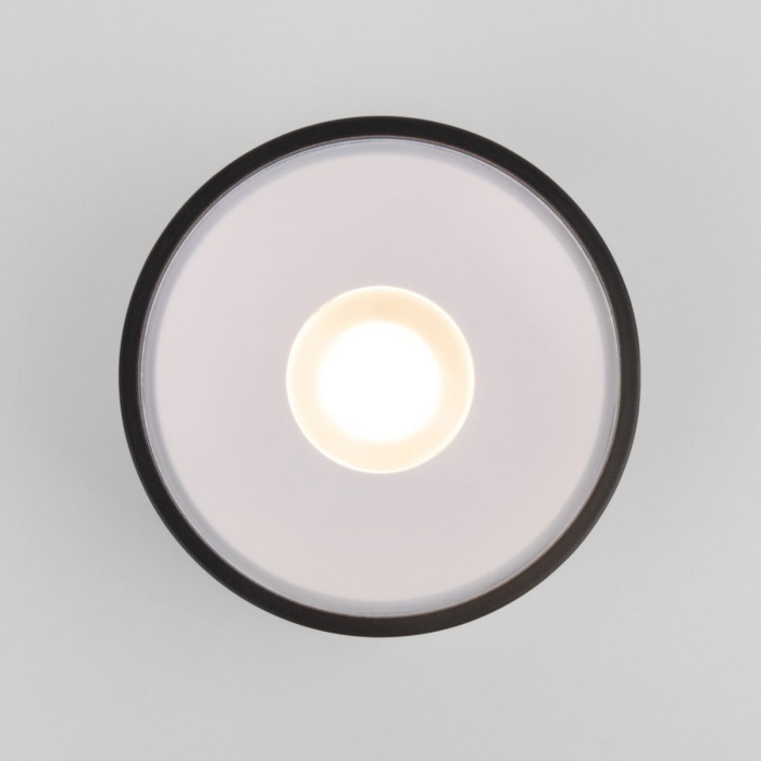 Уличный потолочный светильник Elektrostandard Light led 4690389180156