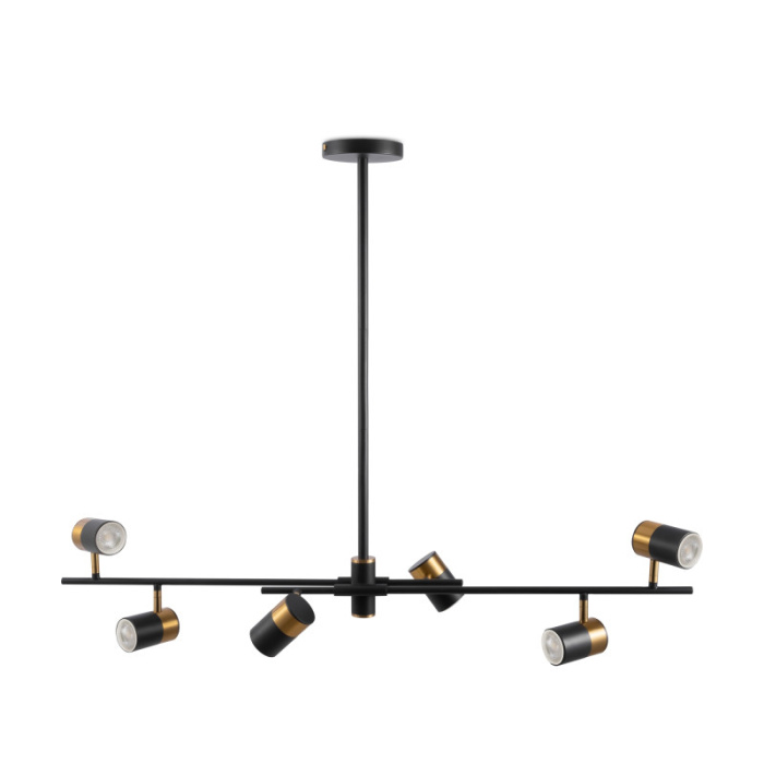 Люстра на штанге Freya Enzo FR5201PL-06B