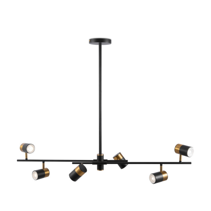 Люстра на штанге Freya Enzo FR5201PL-06B