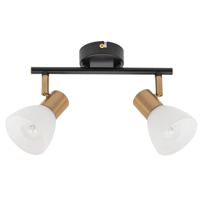 Светильник потолочный Arte Lamp FALENA A3117PL-2BK