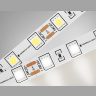 Светодиодная лента Ambrella Light GS4001 5050 60Led /14.4W m/ 24V IP20 3000K 5m Ambrella light GS4002