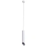 Подвесной светильник Arte Lamp Pilon-Silver A1536SP-1WH