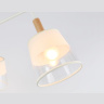 Потолочный светильник со сменной лампой Ambrella light TR4737