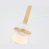 Потолочный светильник со сменной лампой Ambrella light TR4737