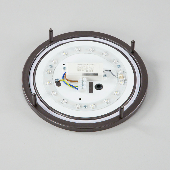 Настенно-потолочный светильник Citilux Бостон CL709205N