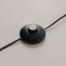 Торшер Maytoni Evolution MOD396FL-L10W3K